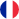 French (France)